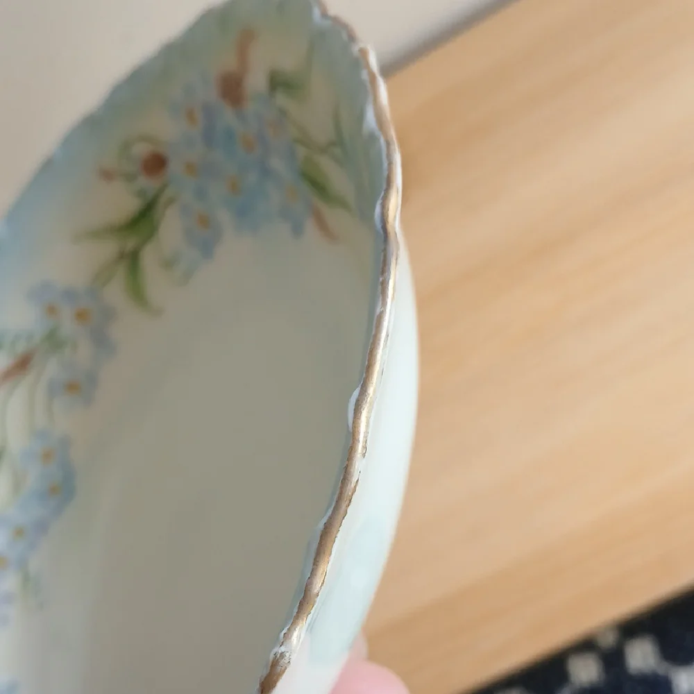 Rosenthal German Porcelain Bavaria Forget-me-nots Bowl 5.5
